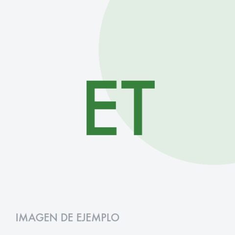 Escoba tipo cepillo cerda suave
