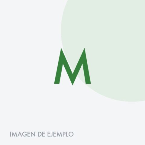 Mechudo