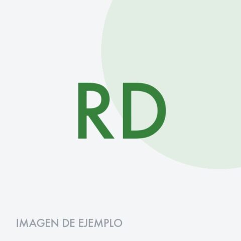 Recogedor de plástico